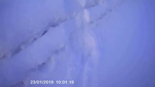 След выдры смотреть онлайн