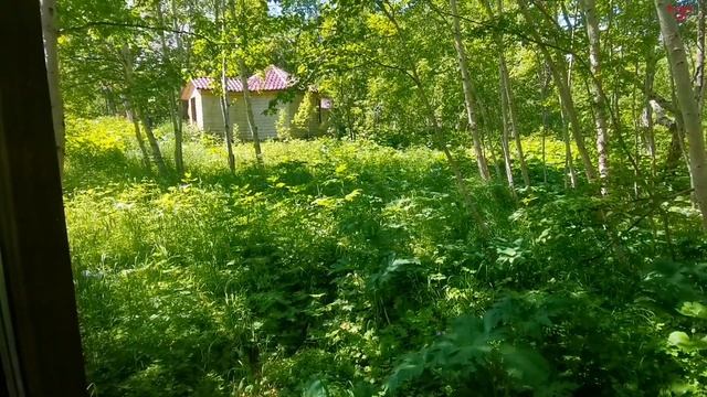 Едем на базу отдыха Лесная/Бунгало Шале(обзор)/день первый... влог смотреть онлайн