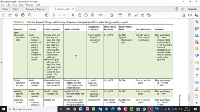 The Staphylococci And The Streptococci (Microbiology Laboratory) Theoretical Part ,, Sanaa Basheer