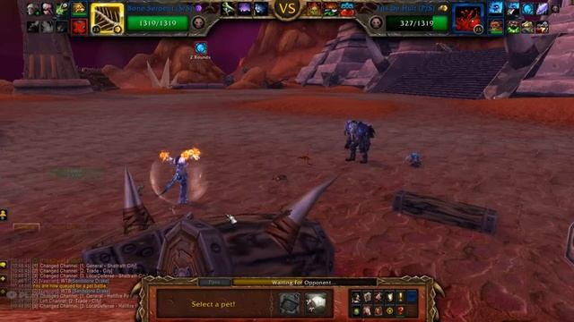 PVP Pet Battle - Team Squirrel Bomb смотреть онлайн