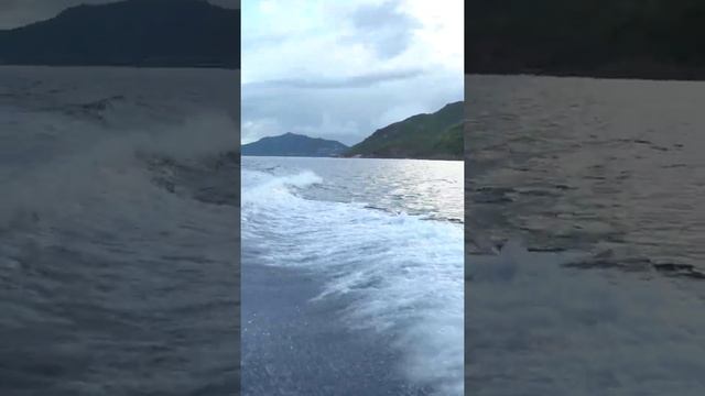 Это шок! Огромный марлин на легкую снасть. Сейшелы смотреть онлайн