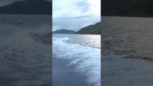 Это шок! Огромный марлин на легкую снасть. Сейшелы