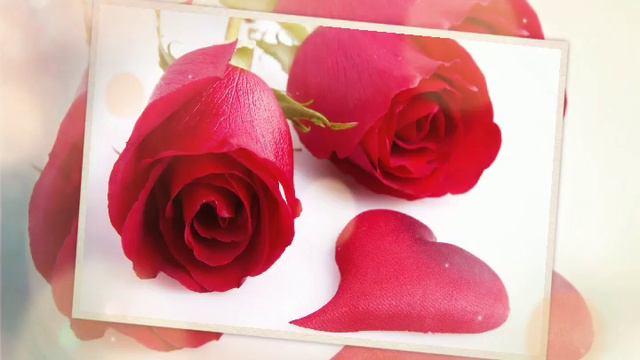 Qizil Atirgul Qoldi Esda