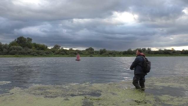 Этот ВОБЛЕР нравится ЩУКАМ ! Рыбалка на спиннинг с берега! Спиннинг 2021! смотреть онлайн
