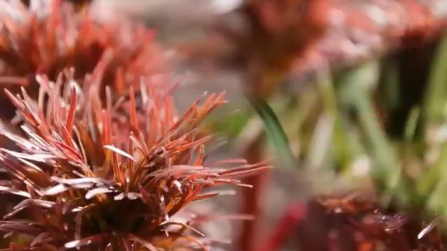 Canon EOS 1100d Photos смотреть онлайн