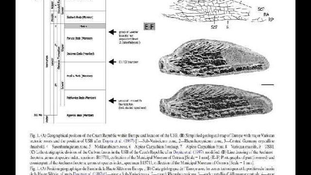 Universe, Life, Science, Future (30 minutes, version 1.0.1) - NOT LATEST VERSION смотреть онлайн