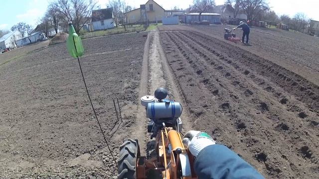 Посадка картошки мотоблоком Мотор Сич под окучники, сезон 2020 смотреть онлайн