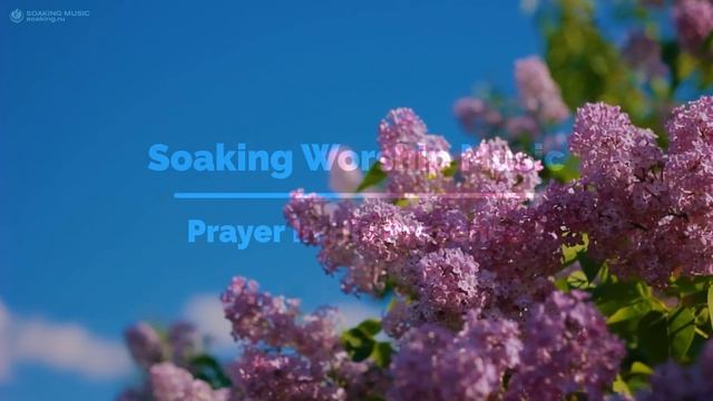 Пропитка 3 часа • Спокойная Музыка • Для Пребывания в Славе Бога смотреть онлайн