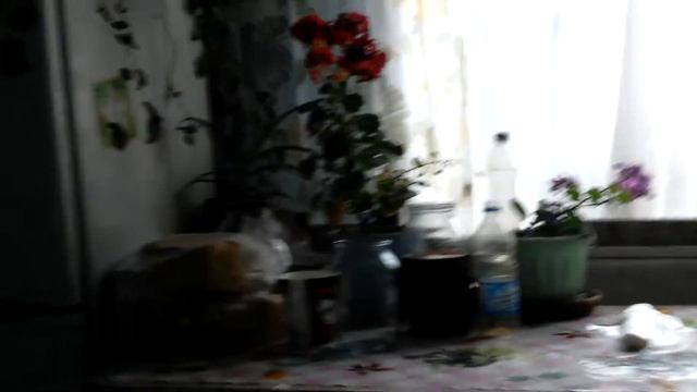 Вызываем гнома сладкоежку!!!!! смотреть онлайн