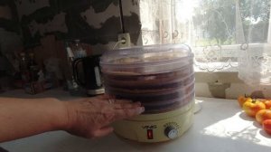 Пастила из вишни в домашних условиях. Рецепт в сушилке