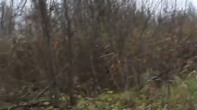 Слет ЦФО-Космопоиск-2018 смотреть онлайн