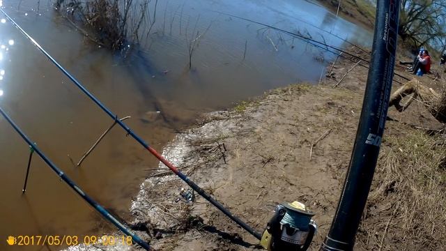 Двойня р. Лама и Б. Сестра 03 05 17 клевал не крупный карась до 500гр. смотреть онлайн