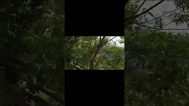 Где моя флешка с музыкой смотреть онлайн