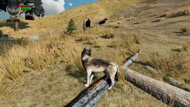 The DRAMATIC First Act! | Wolfquest Anniversary Edition #112 [Luna] смотреть онлайн