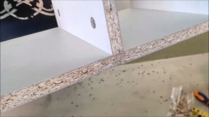 Мебельный кондуктор Краб plus