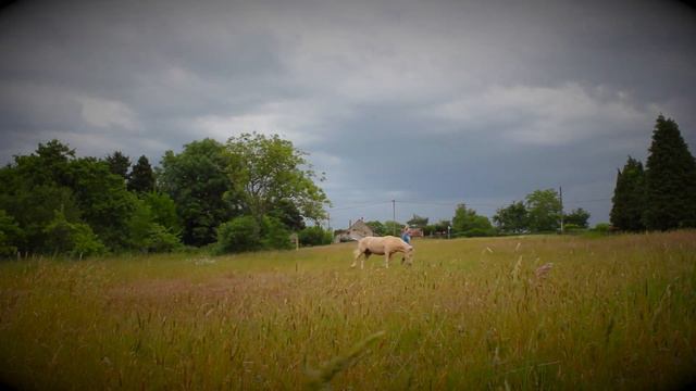 Now we are free смотреть онлайн