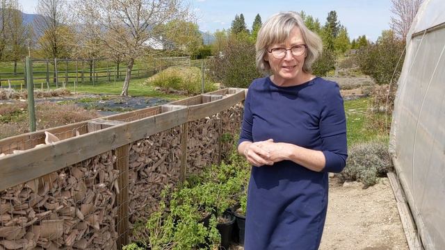 Lemon Tea Herbs // potting, harvesting & infusing for tea смотреть онлайн