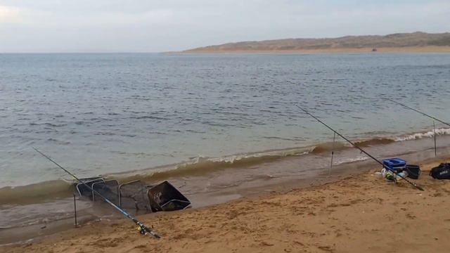 Заработал Китай городок 🐟👍 смотреть онлайн
