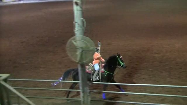 Sass 'n Saddles Theme Open Routine - 20 Feb 2016 смотреть онлайн