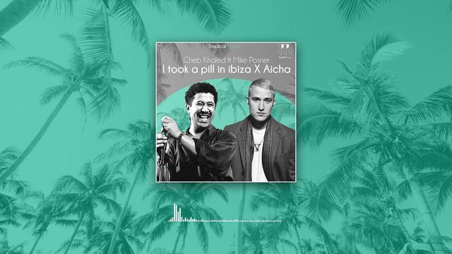 Cheb Khaled Ft Mike Posner - Aicha X I Took A Pill In Ibiza Summer/Tropical House  (TrabicMusic Mix