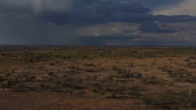 4K African Wildlife - Great Migration, Serengeti National Park to the Maasai Mara,Kenya - Part 3 смотреть онлайн