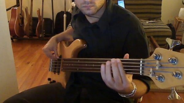 [Fretless Bass Cover] Pink Floyd - Hey you