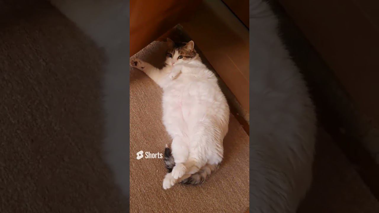 Существо без изъяна смотреть онлайн