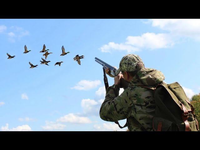 Охота на Утку. Два дня охоты. С подхода и с чучелами!!! смотреть онлайн