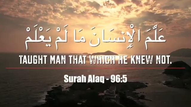 Шейх Назим аль-Хаккани. Путь к адабу смотреть онлайн