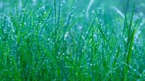 Полноценный отдых за 24 минуты.mp4