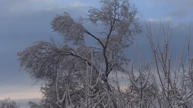НИКОГДА НЕ ДЕРЖИТЕ ЭТИ ВЕЩИ В СПАЛЬНЕ... ПРИМЕТЫ ПРО СПАЛЬНЮ. народные приметы и поверья смотреть онлайн