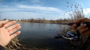 Покидушки!!! Пробую Pontoon 21 Graсe Sonda В Деле!!