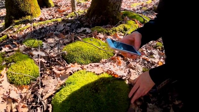 Путешествие в "Шапсугу". смотреть онлайн