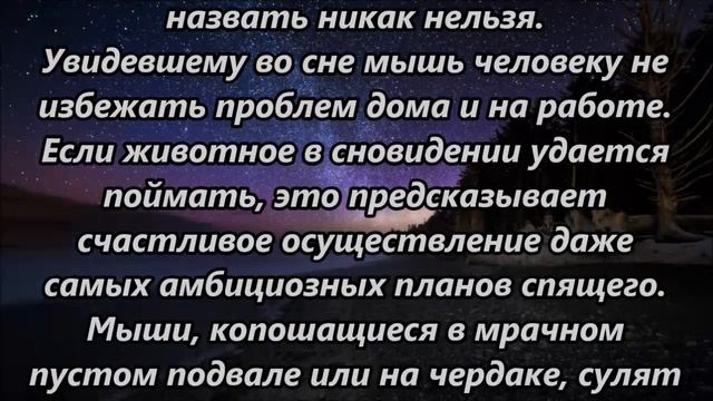 К чему снится мышь смотреть онлайн
