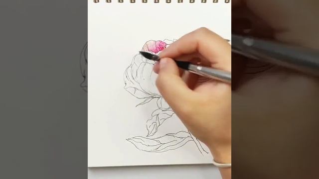 Ловите мини-урок с нежным розовым пионом ??? смотреть онлайн