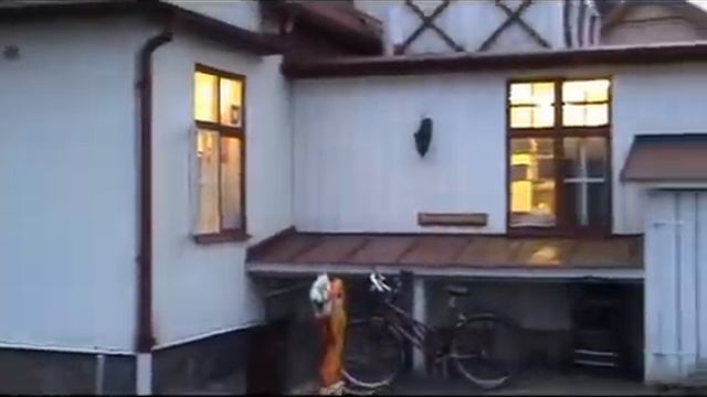 Skradderiet i Kinna смотреть онлайн