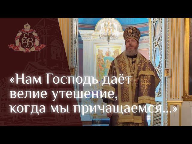 Архипастырское слово в неделю 5-ю Великого поста смотреть онлайн