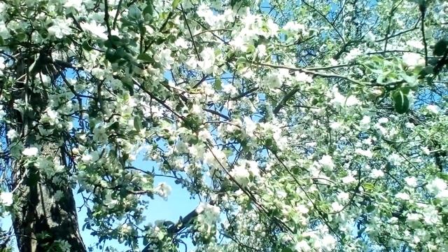 Христианские стихи с глубоким смыслом. смотреть онлайн