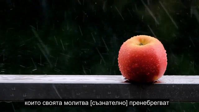 Глава 107 Милостиня, Рецитация На Корана С Най-сърдечно Сърце, Над 90 Езикови Субтитри смотреть онлайн