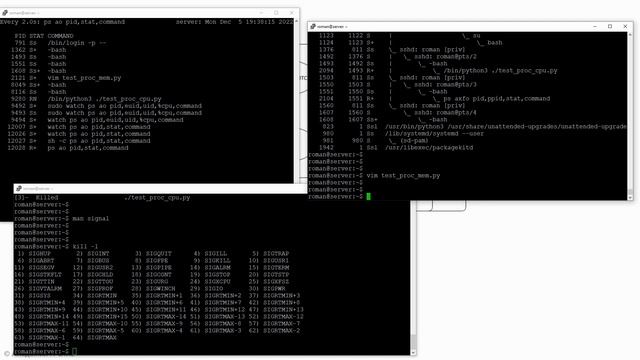 Курс по Linux — Процессы в Linux (новинка 2023) смотреть онлайн