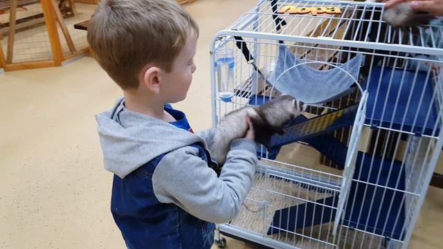 Ручной Зоопарк в ТЦ Акварель смотреть онлайн