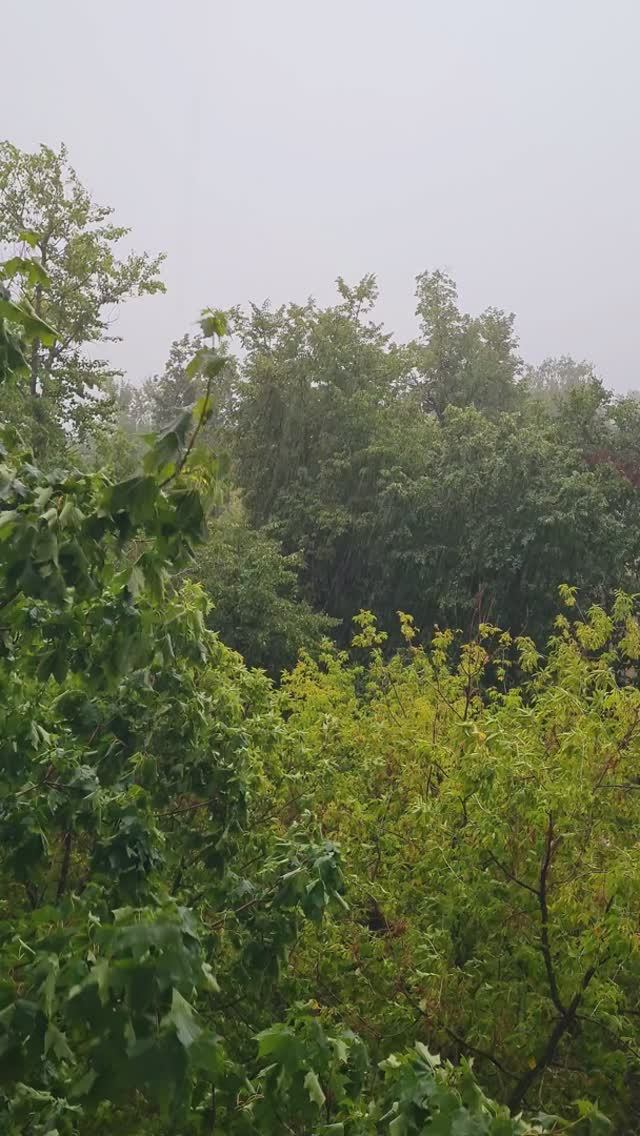 Ливень в Москве 18.07.2023г