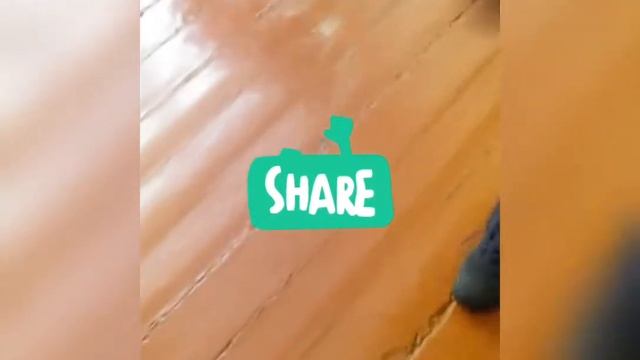 Приколы 2017((Ступишино)) смотреть онлайн