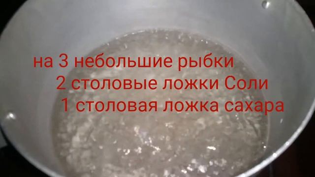 Про рыбу. Малосоленая селедка. Горбуша. смотреть онлайн