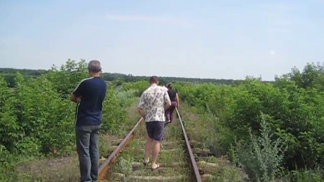 4. Пойма р. Водяная, вид с ж.д. насыпи смотреть онлайн