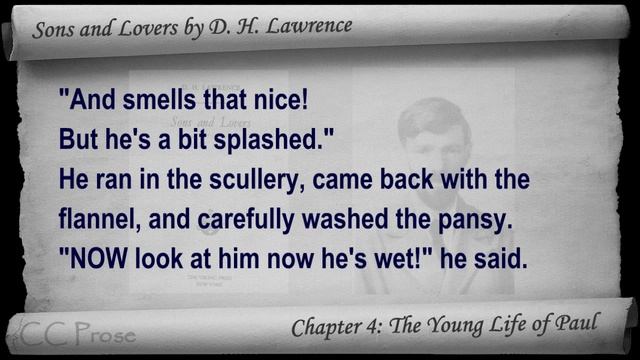 Chapter 04-2 - Sons And Lovers By D. H. Lawrence - The Young Life Of Paul