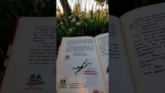Ванда Хотомская. Сказка об аисте, который не умел ловить лягушек. смотреть онлайн