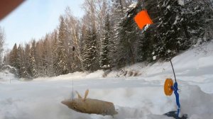 Февральская экспедиция в Глухозимье! Рыбалка на жерлицы!