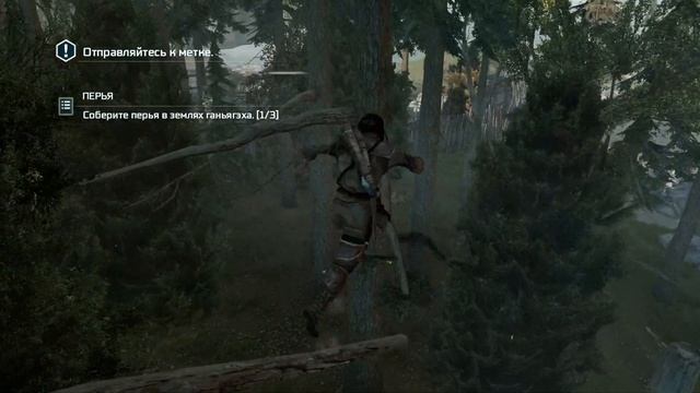 Assassin's Creed 3. Часть 4. Уроки охоты смотреть онлайн