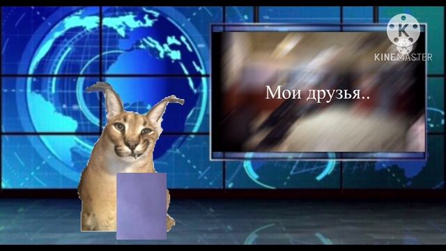 Новости о канале #4